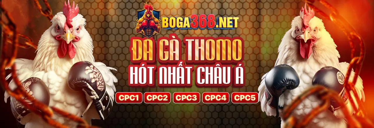 Sân đấu đá gà trực tuyến dh88 win