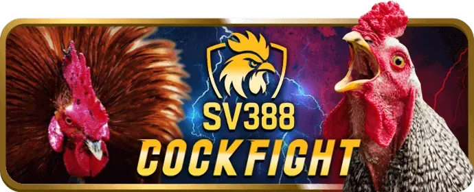 Hình ảnh các phương thức thanh toán dh88 win